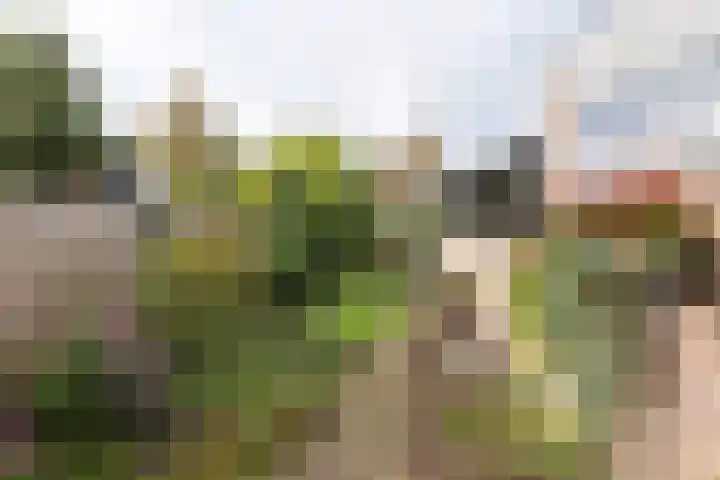 Prinses Marijkelaan 7 Maartensdijk thumbnail 23