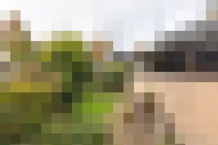 Prinses Marijkelaan 7 Maartensdijk thumbnail 24