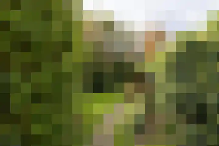 Prinses Marijkelaan 7 Maartensdijk thumbnail 26