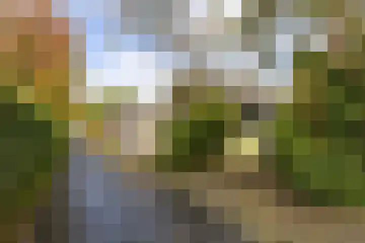 Prinses Marijkelaan 7 Maartensdijk thumbnail 28