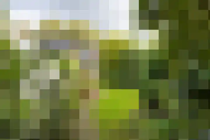Prinses Marijkelaan 7 Maartensdijk thumbnail 29