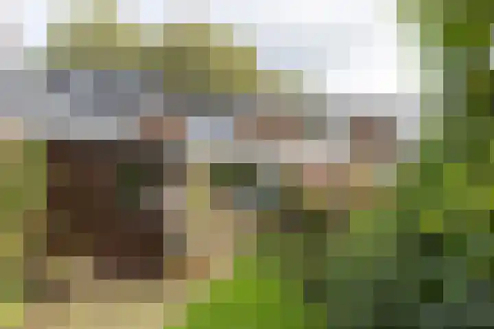 Prinses Marijkelaan 7 Maartensdijk thumbnail 31