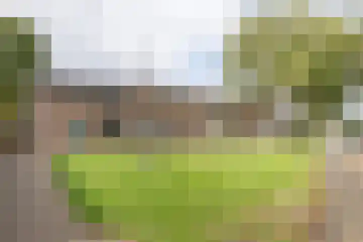 Prinses Marijkelaan 7 Maartensdijk thumbnail 35