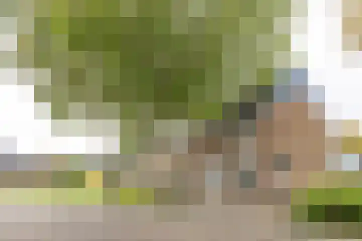 Prinses Marijkelaan 7 Maartensdijk thumbnail 36