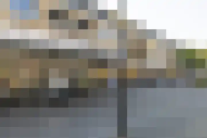 Prinses Marijkelaan 7 Maartensdijk thumbnail 38