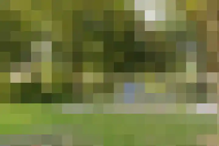 Prinses Marijkelaan 7 Maartensdijk thumbnail 39