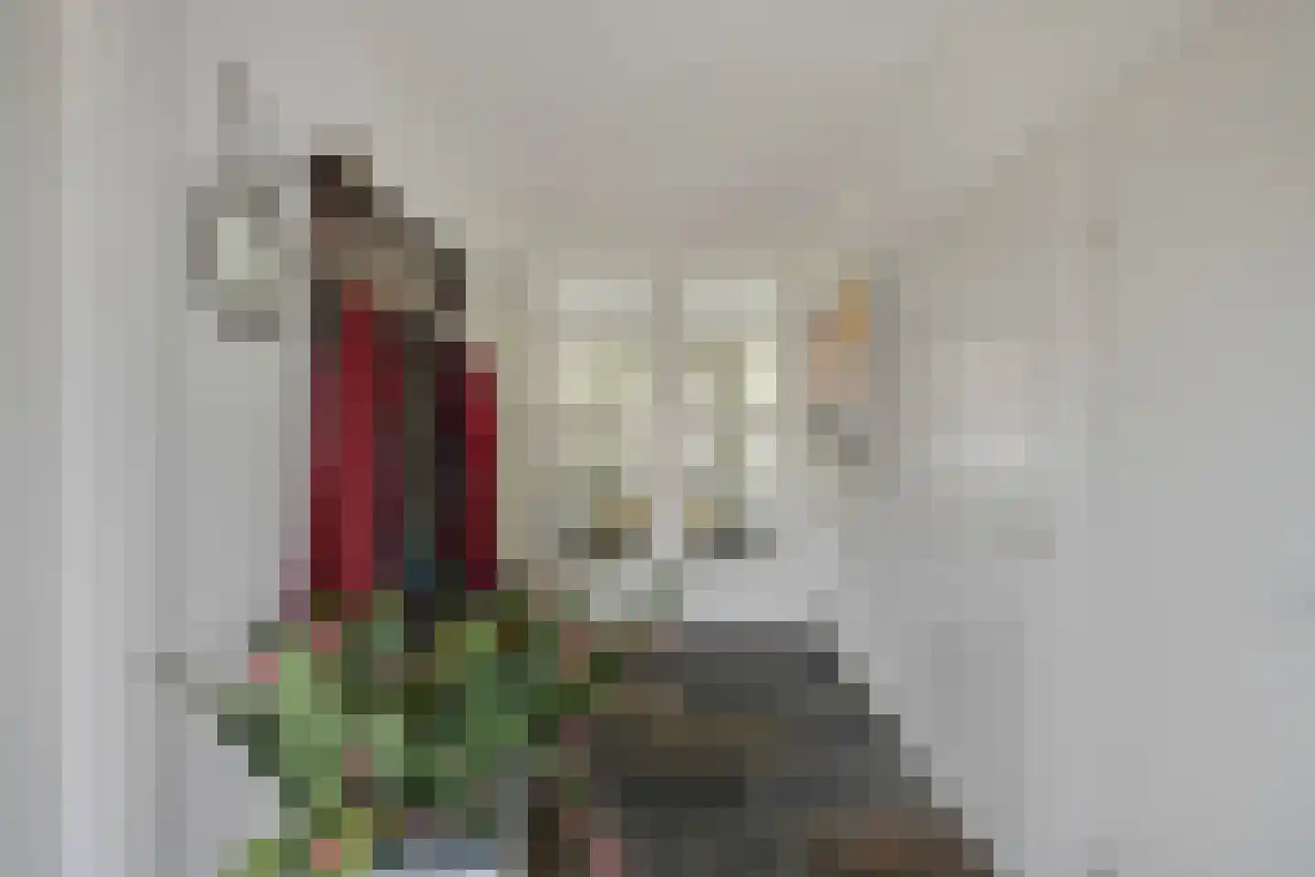 Prinses Marijkelaan 7 Zutphen thumbnail 10