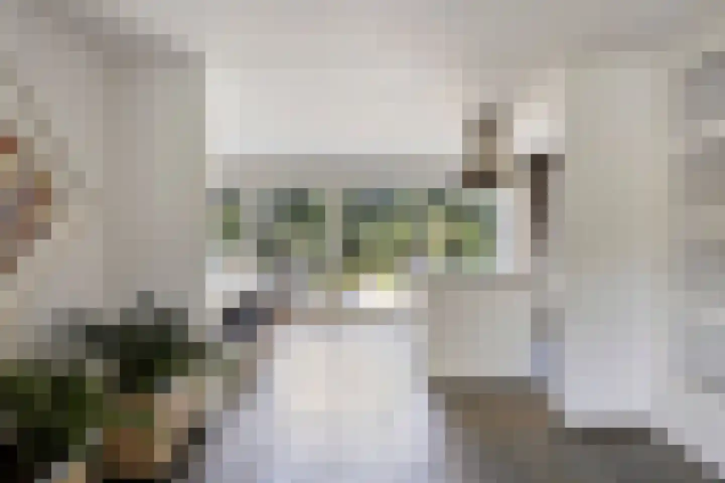 Prinses Marijkelaan 7 Zutphen thumbnail 14