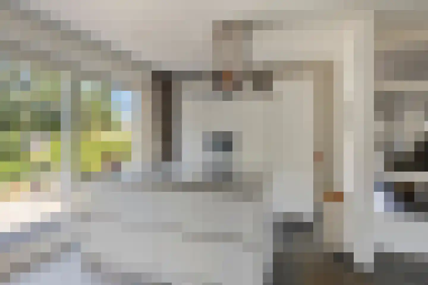 Prinses Marijkelaan 7 Zutphen thumbnail 4