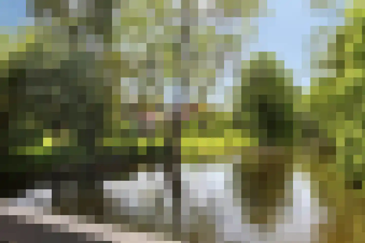 Prinses Marijkelaan 7 Zutphen thumbnail 49