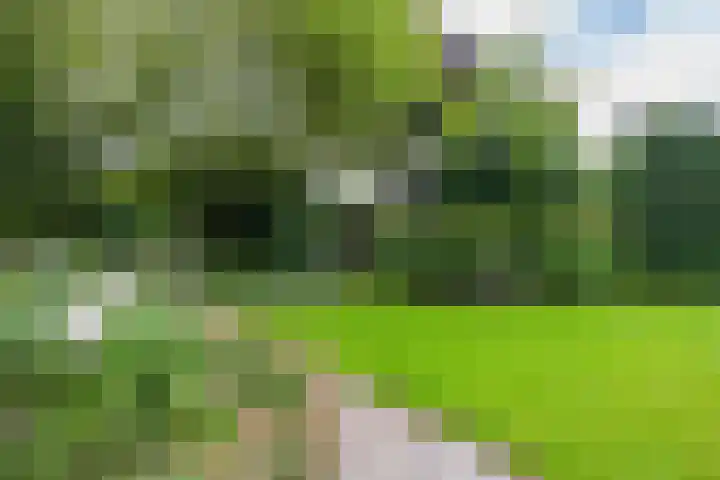 Prinses Marijkelaan 8 Tiel thumbnail 10