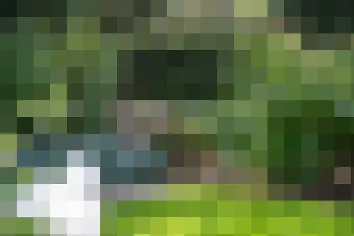 Prinses Marijkelaan 8 Tiel thumbnail 11