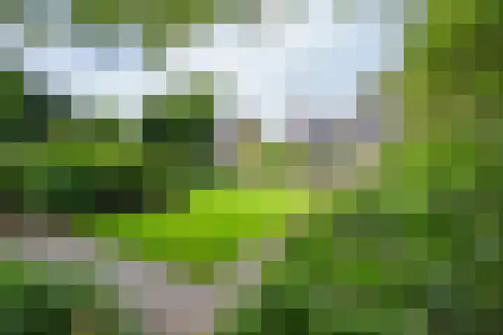 Prinses Marijkelaan 8 Tiel thumbnail 12