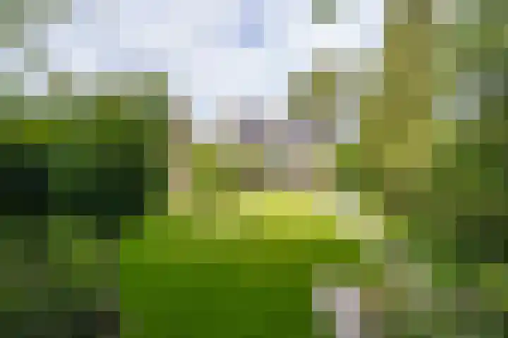 Prinses Marijkelaan 8 Tiel thumbnail 13