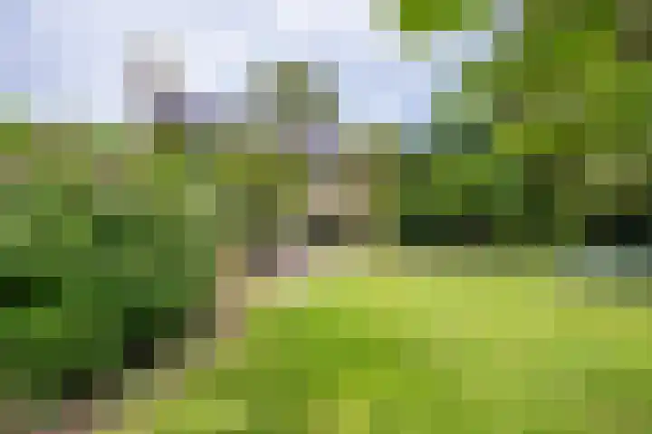 Prinses Marijkelaan 8 Tiel thumbnail 14