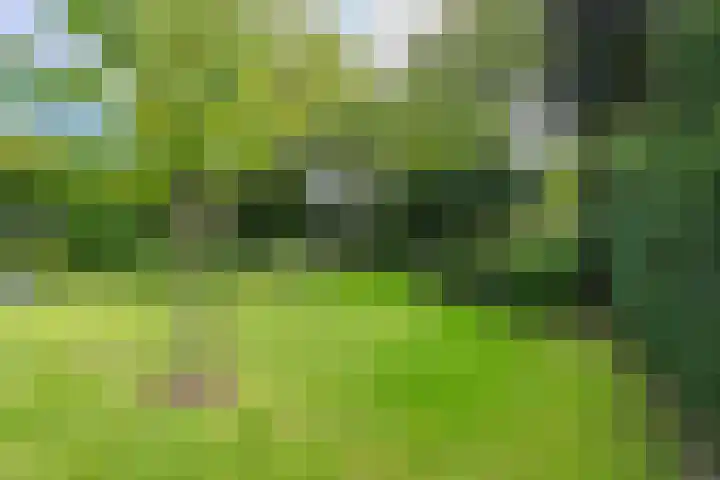 Prinses Marijkelaan 8 Tiel thumbnail 16