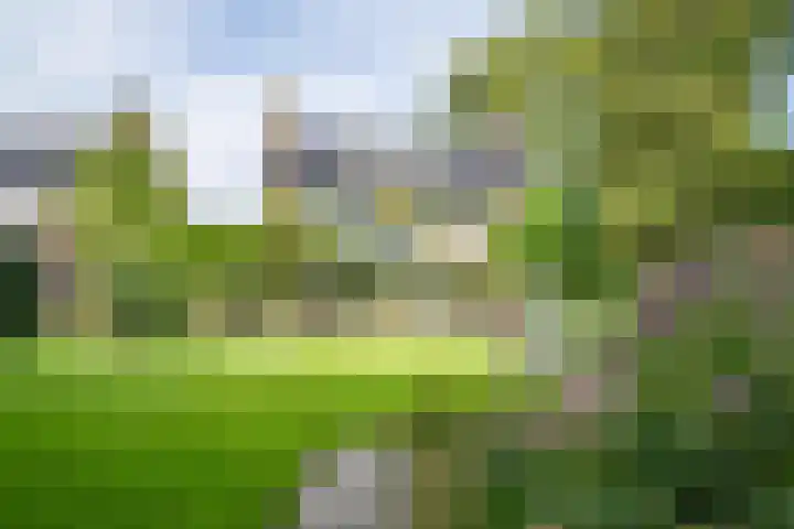 Prinses Marijkelaan 8 Tiel thumbnail 17