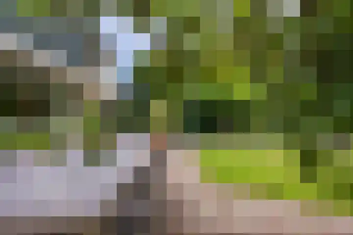 Prinses Marijkelaan 8 Tiel thumbnail 20