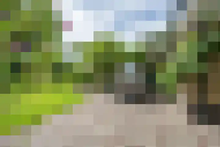 Prinses Marijkelaan 8 Tiel thumbnail 21