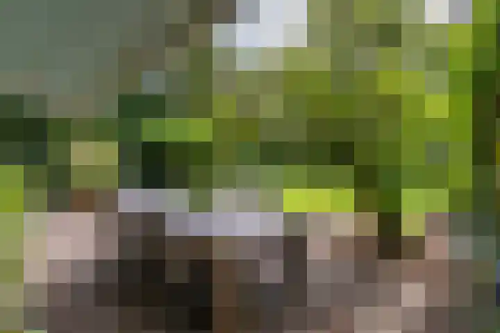 Prinses Marijkelaan 8 Tiel thumbnail 23