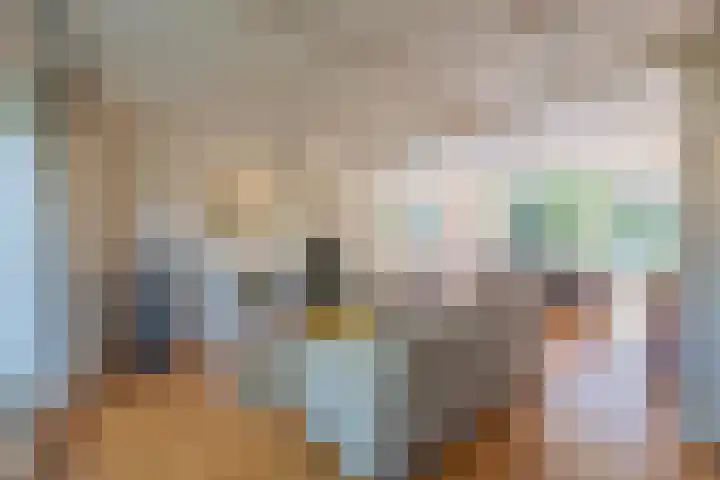 Prinses Marijkelaan 8 Tiel thumbnail 30