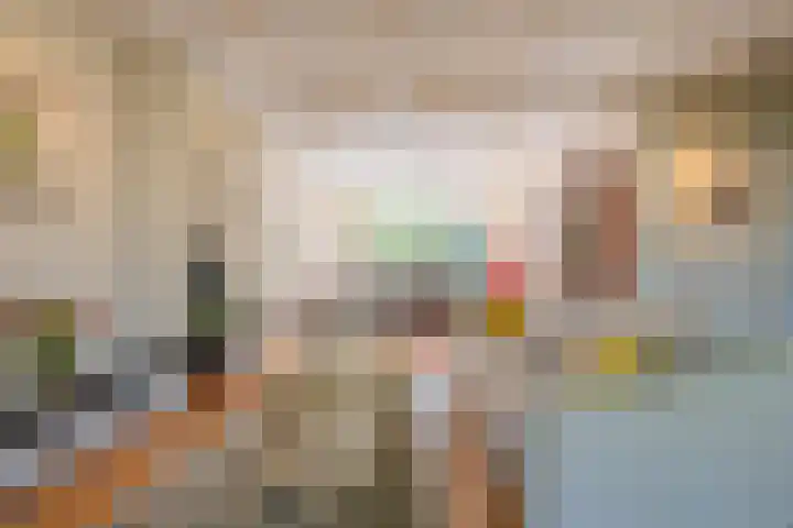 Prinses Marijkelaan 8 Tiel thumbnail 31