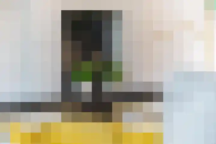Prinses Marijkelaan 8 Tiel thumbnail 32