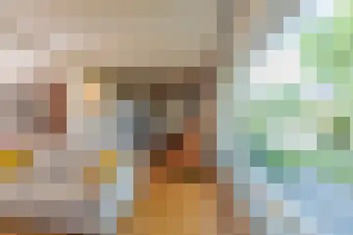 Prinses Marijkelaan 8 Tiel thumbnail 34