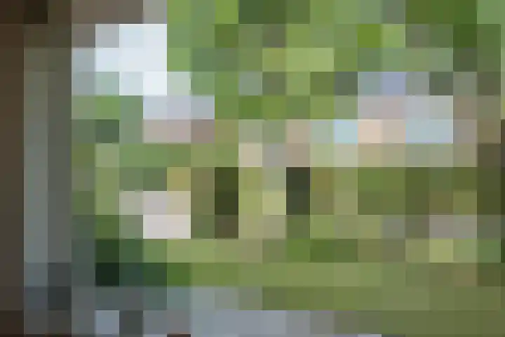 Prinses Marijkelaan 8 Tiel thumbnail 35