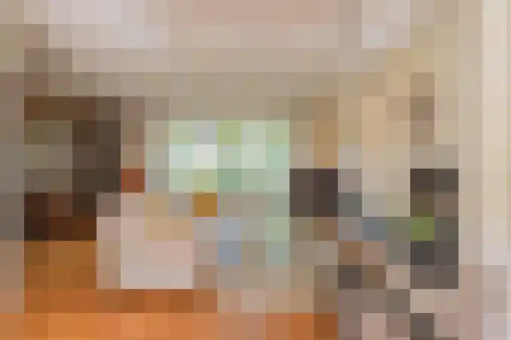 Prinses Marijkelaan 8 Tiel thumbnail 36