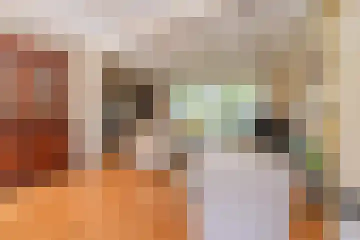 Prinses Marijkelaan 8 Tiel thumbnail 37