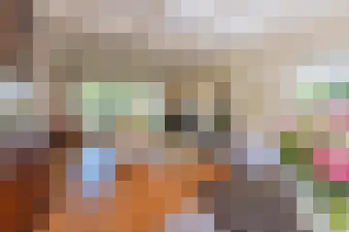 Prinses Marijkelaan 8 Tiel thumbnail 38