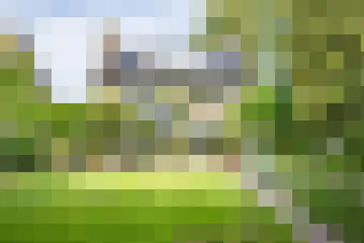Prinses Marijkelaan 8 Tiel thumbnail 4