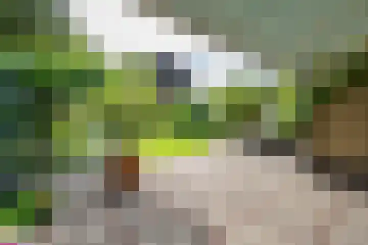 Prinses Marijkelaan 8 Tiel thumbnail 41