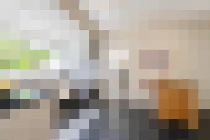 Prinses Marijkelaan 8 Tiel thumbnail 42