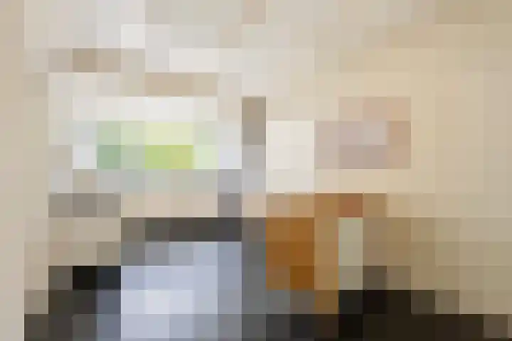 Prinses Marijkelaan 8 Tiel thumbnail 43