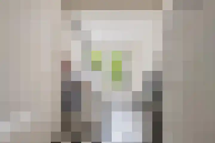 Prinses Marijkelaan 8 Tiel thumbnail 51