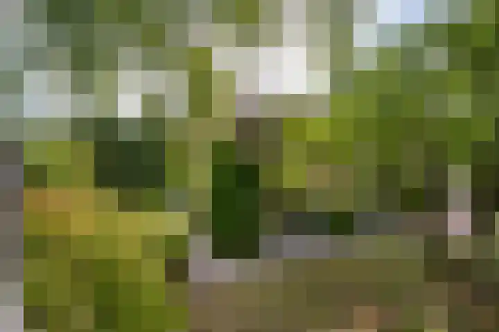 Prinses Marijkelaan 8 Tiel thumbnail 6