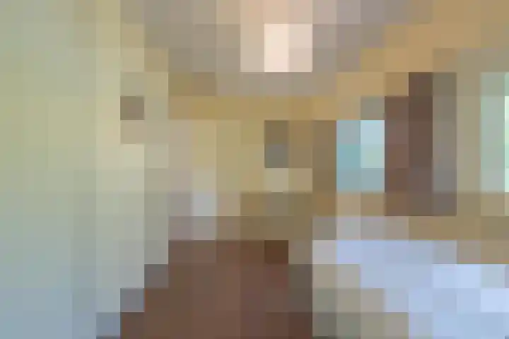 Prinses Marijkelaan 8 Tiel thumbnail 61