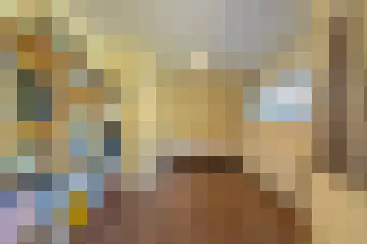 Prinses Marijkelaan 8 Tiel thumbnail 63