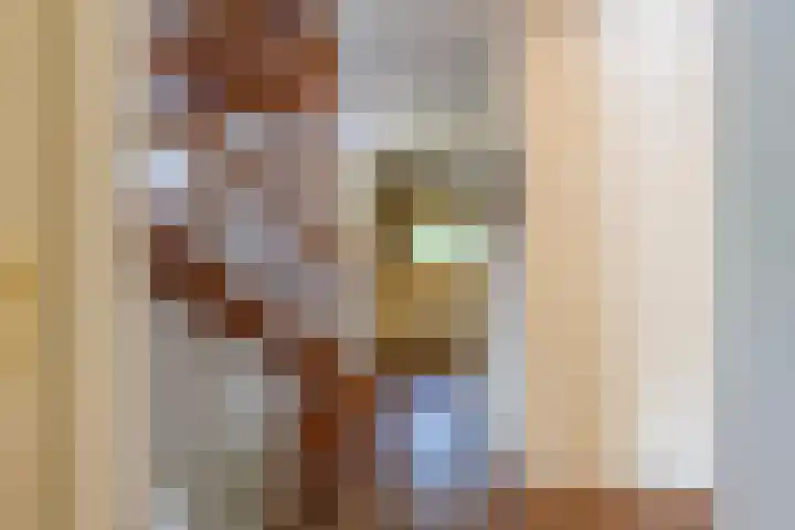 Prinses Marijkelaan 8 Tiel thumbnail 68