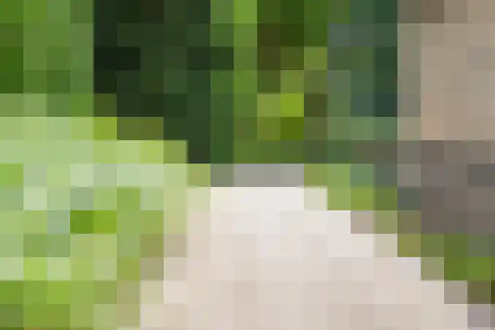 Prinses Marijkelaan 8 Tiel thumbnail 7