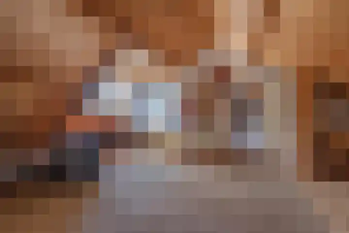 Prinses Marijkelaan 8 Tiel thumbnail 71