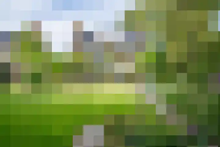 Prinses Marijkelaan 8 Tiel thumbnail 72