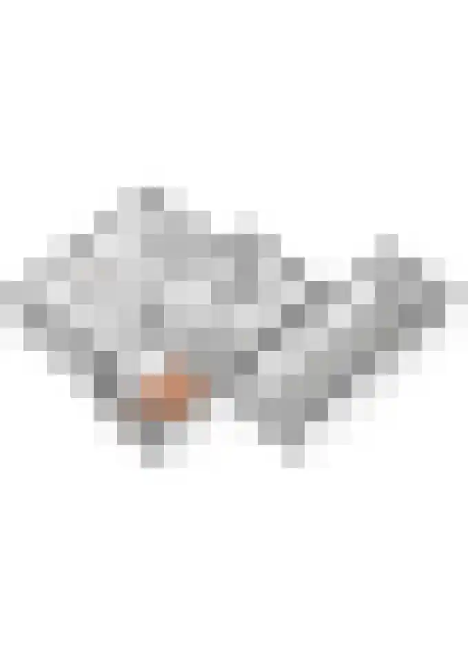 Prinses Marijkelaan 8 Tiel thumbnail 74