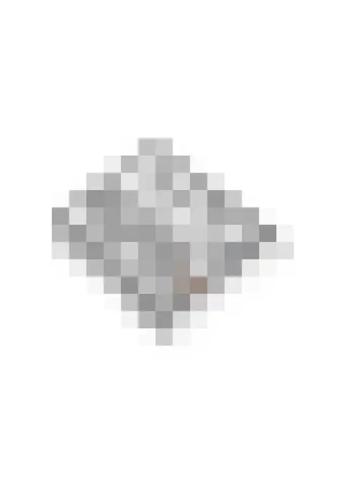 Prinses Marijkelaan 8 Tiel thumbnail 76