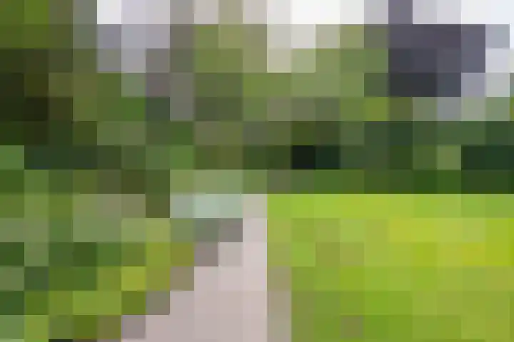 Prinses Marijkelaan 8 Tiel thumbnail 8