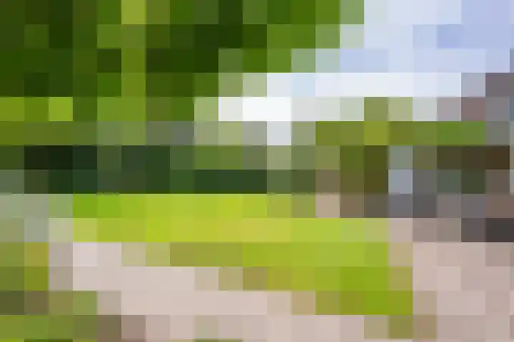Prinses Marijkelaan 8 Tiel thumbnail 9