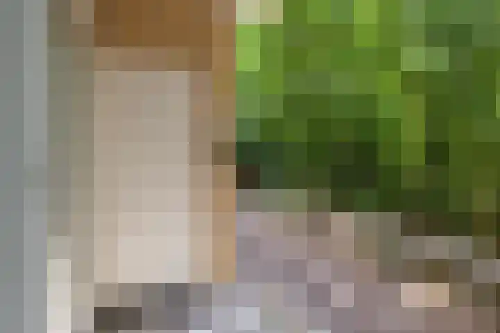 Prinses Marijkelaan 8 Zeist thumbnail 20
