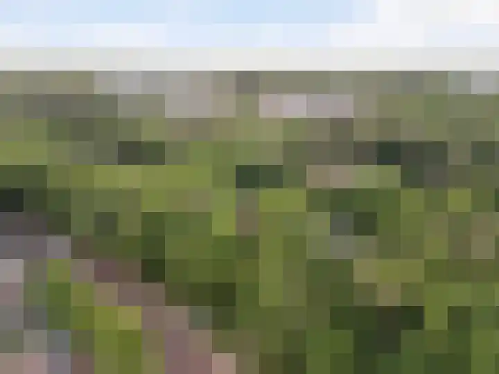 Prinses Marijkelaan 8 Zeist thumbnail 25